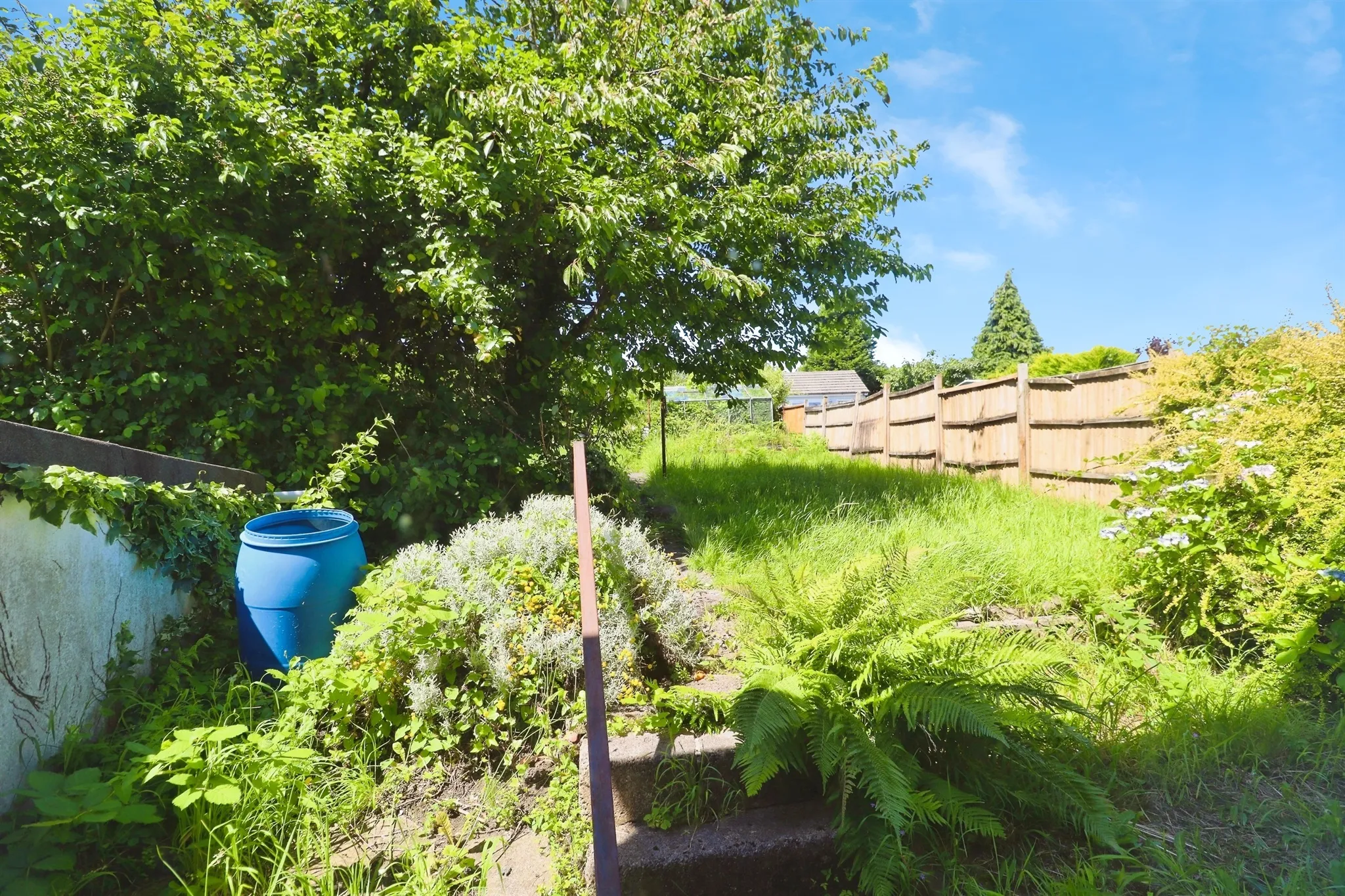 3 bed Semi-Detached