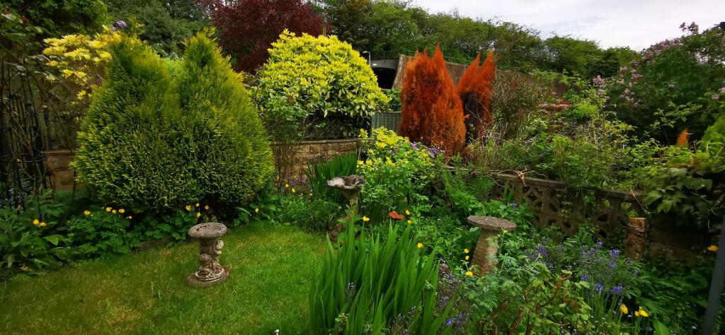 2 bed Semi-Detached