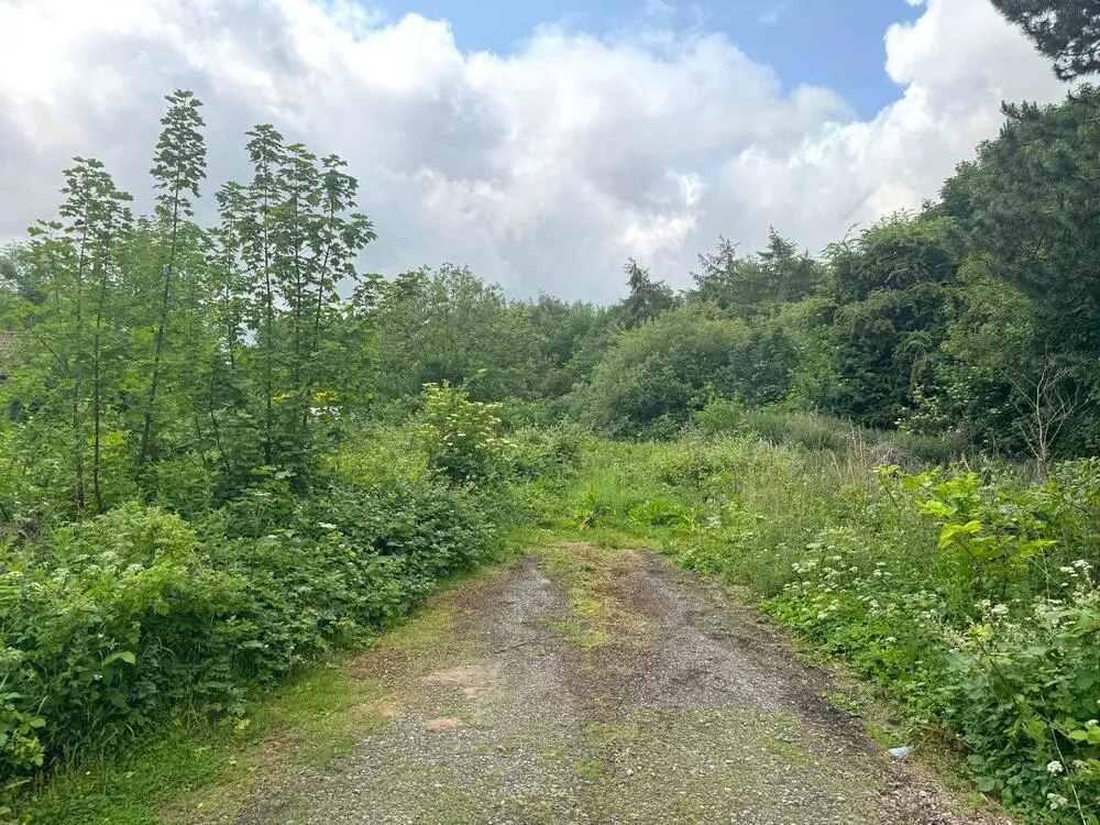 Land at Grange Close, Teversal, Sutton-in-Ashfield, Nottinghamshire NG17 3JN