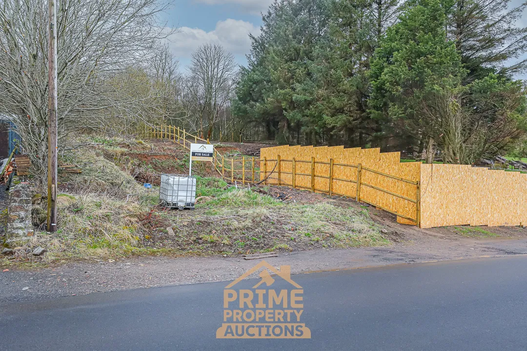 Excellent Development Opportunity