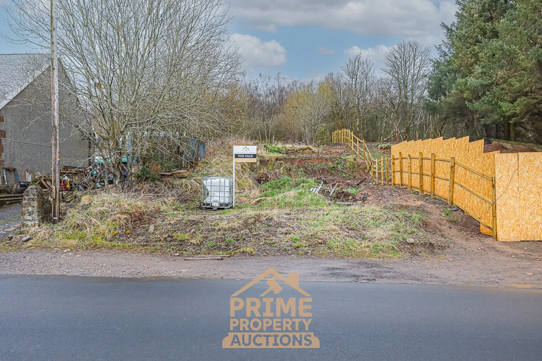 Excellent Development Opportunity