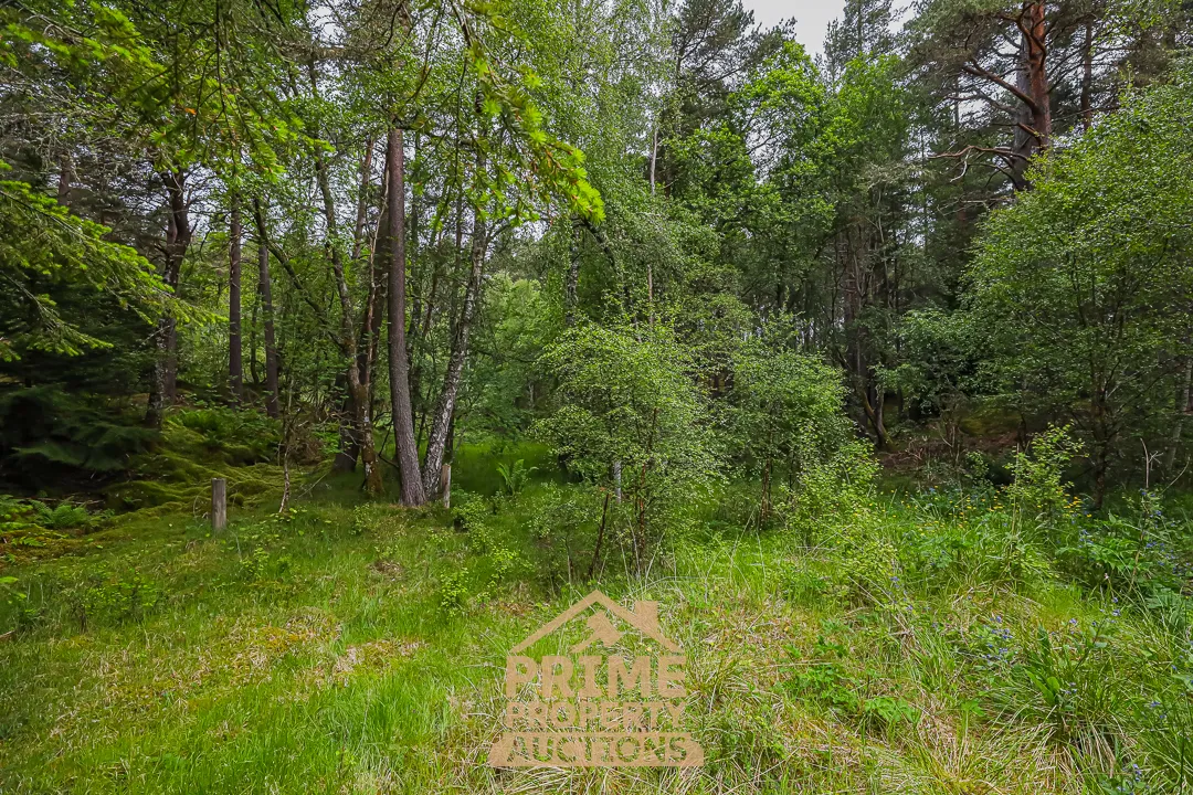 Attractive Land Acquisition Opportunity