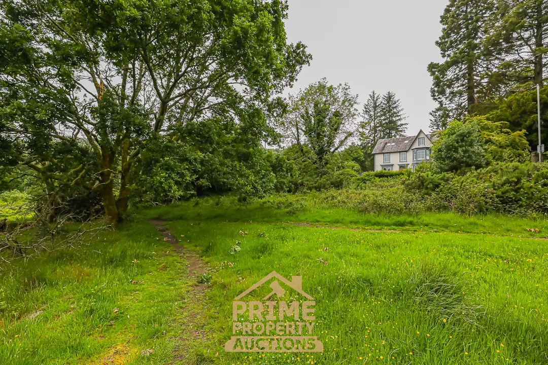Rare Land Opportunity