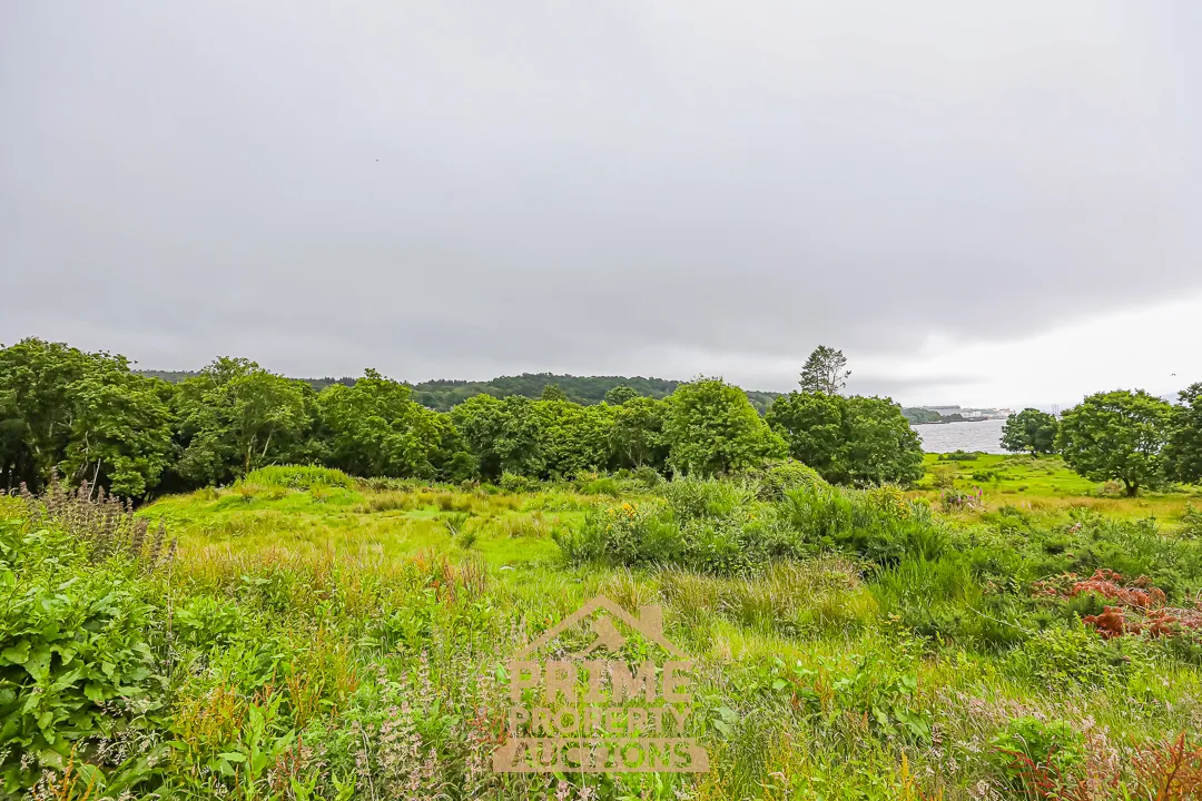 Rare Land Opportunity
