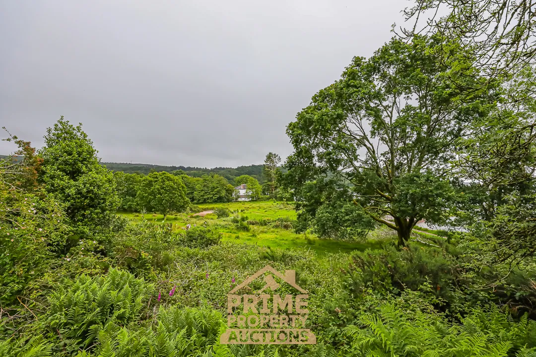 Rare Land Opportunity
