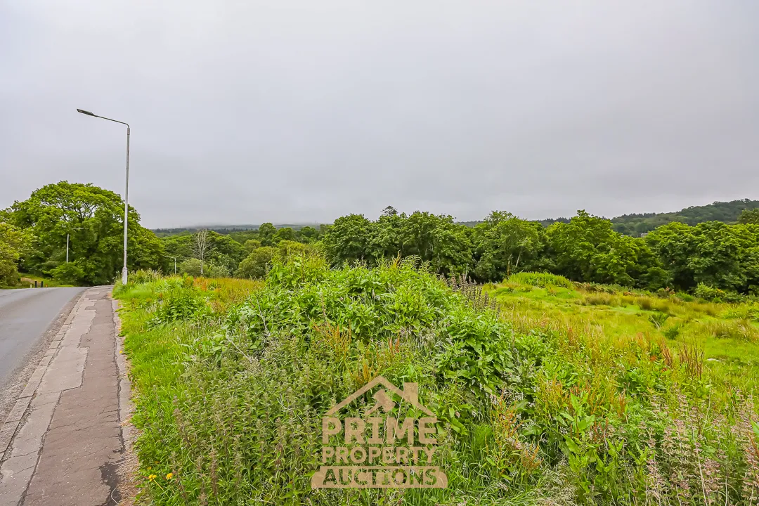 Rare Land Opportunity