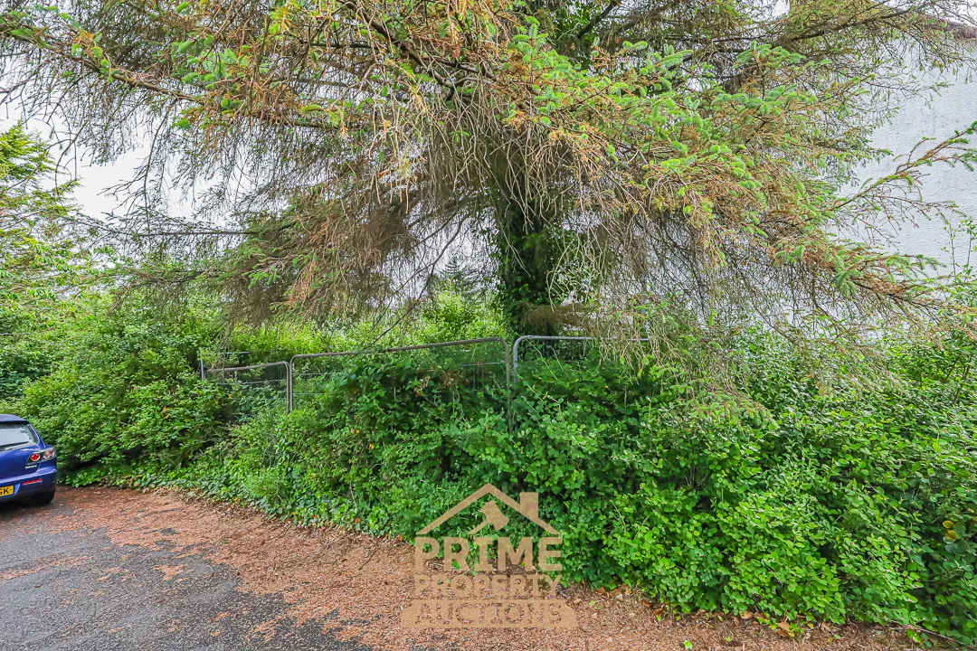 Rare Land Opportunity