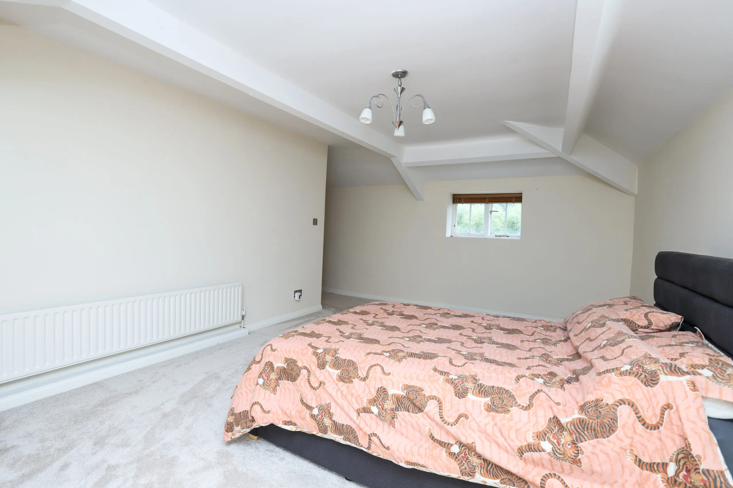 Rare Residential Opportunity