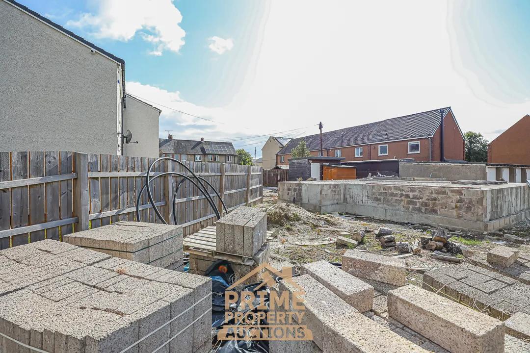 Rare Development Plot