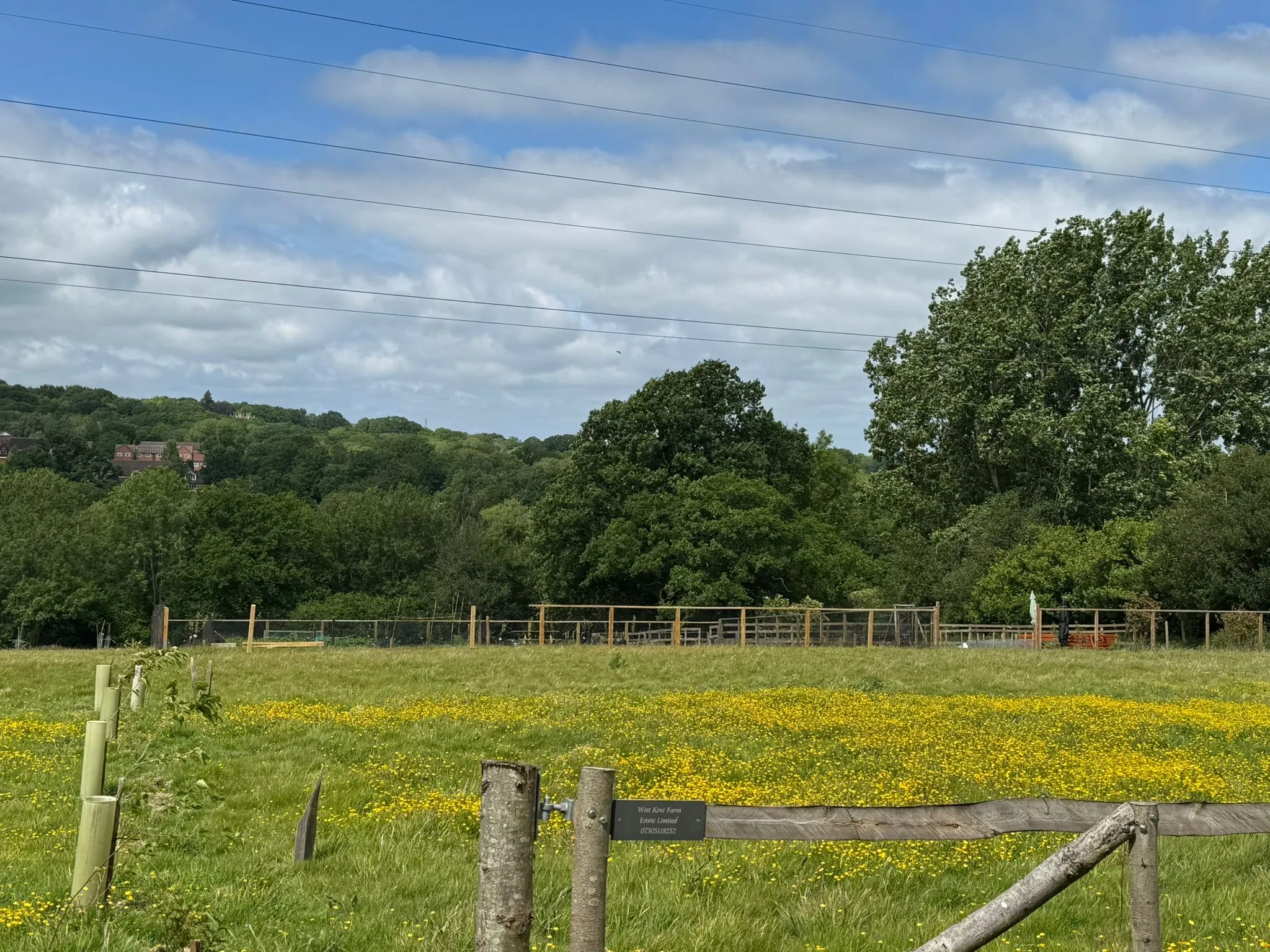 Unique Land Opportunity