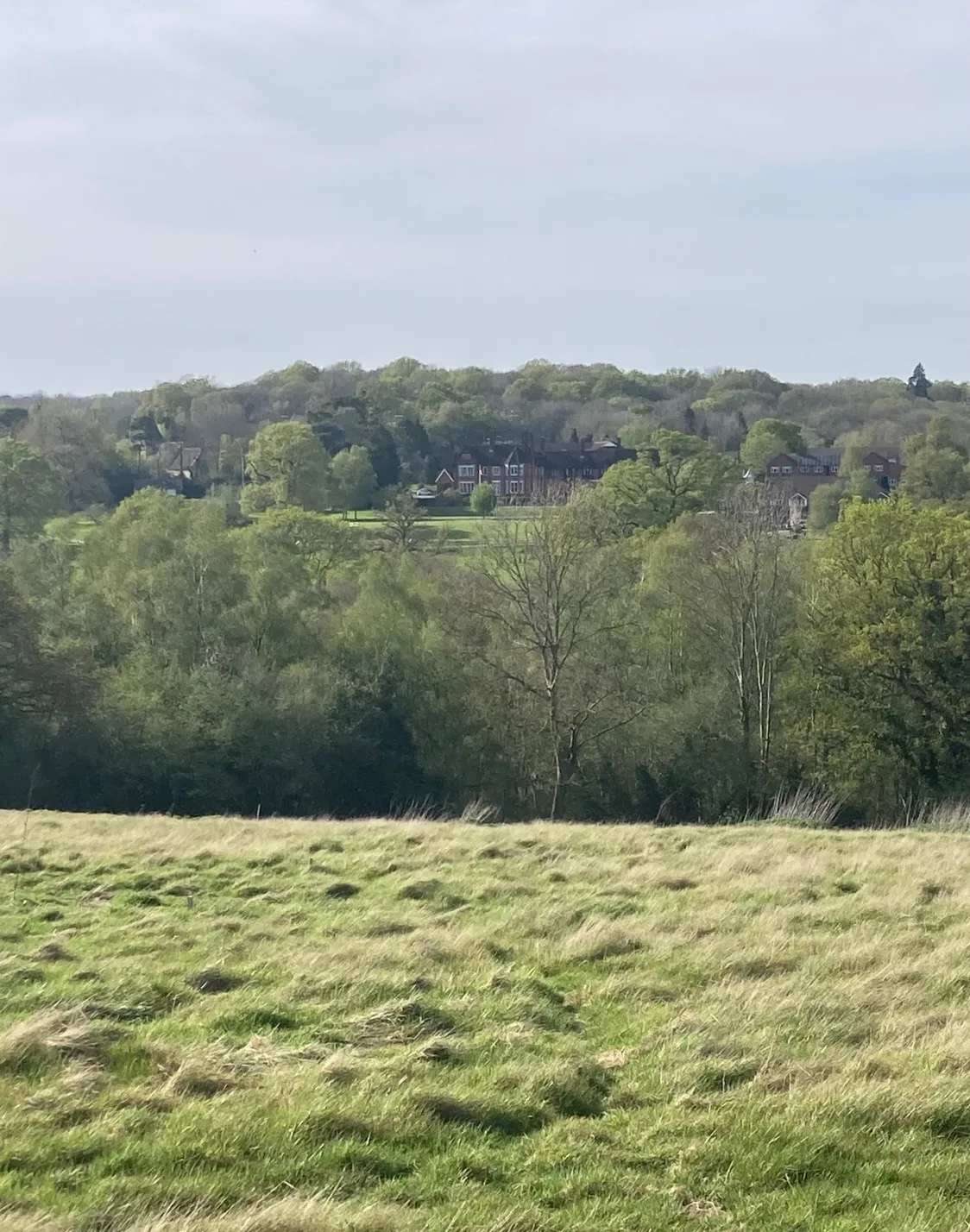 Unique Land Opportunity
