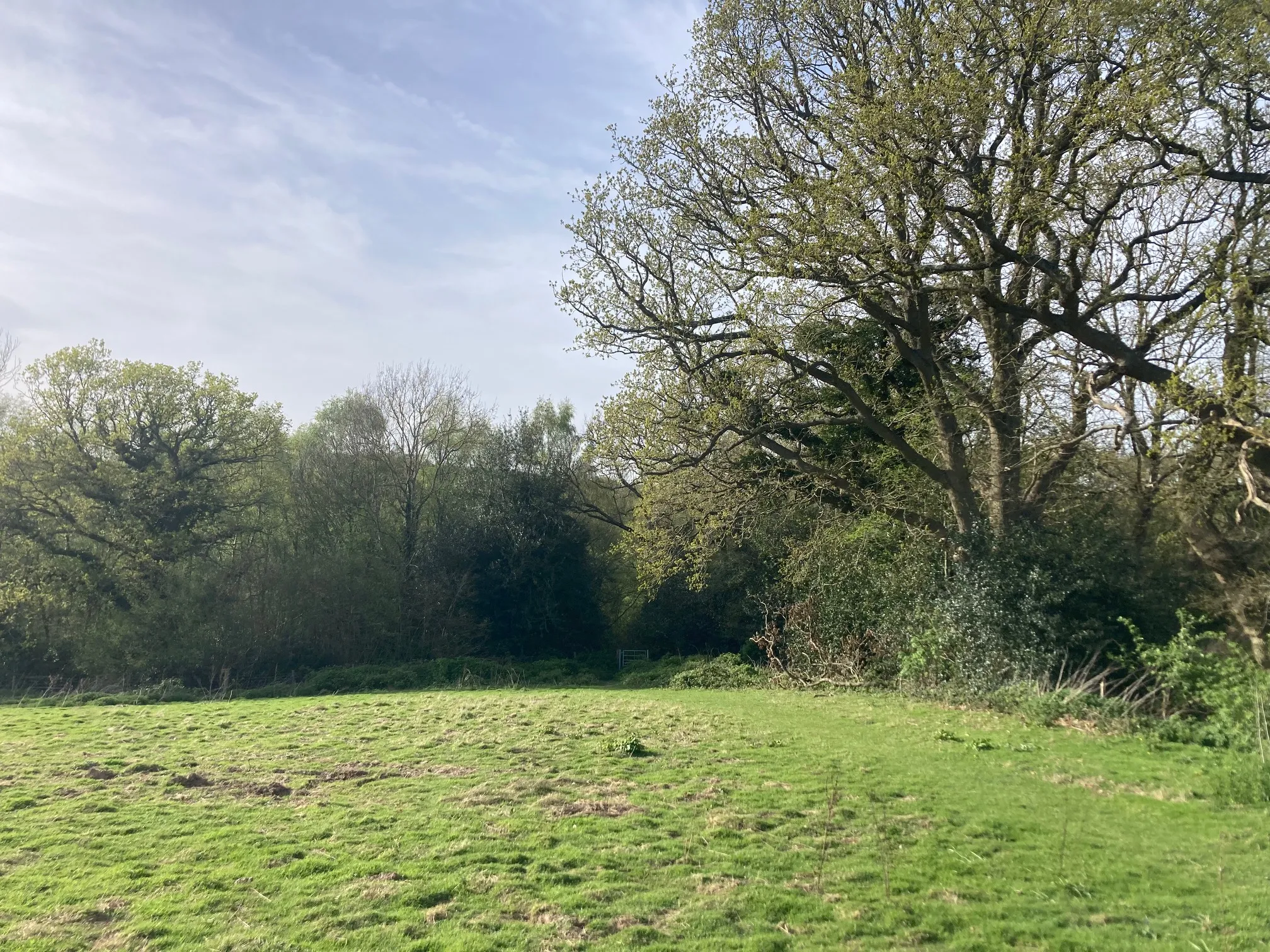 Unique Land Opportunity