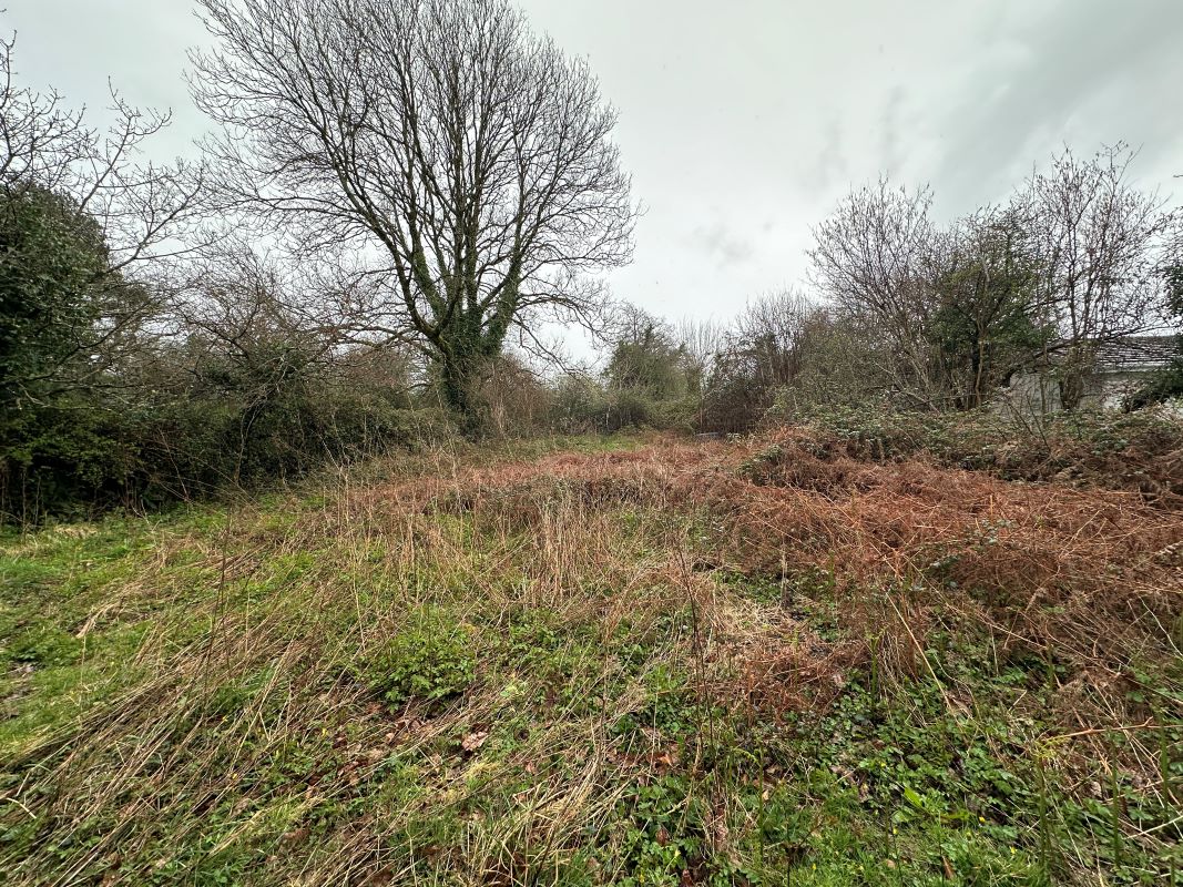 Tirzah Baptist Chapel, Station Road, Swansea, Swansea, SA4 3TF - Online Auctions