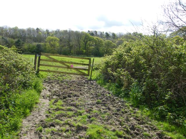 Land At Bridge, Bridge, St. Columb Major, Cornwall TR9 6BE