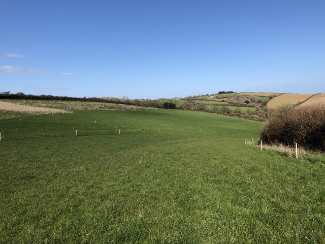 Land To The East Of Polsue Farm, St. Ewe, St. Austell, Cornwall PL26 6EW