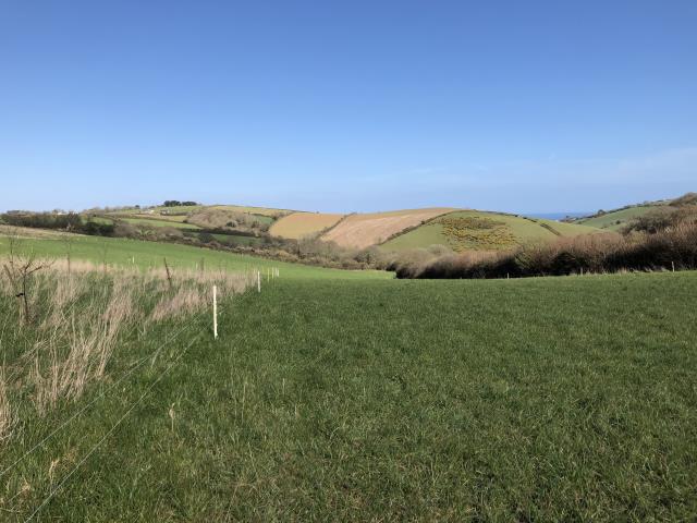 Land To The East Of Polsue Farm, St. Ewe, St. Austell, Cornwall PL26 6EW