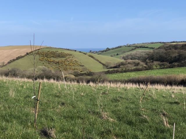 Land To The East Of Polsue Farm, St. Ewe, St. Austell, Cornwall PL26 6EW