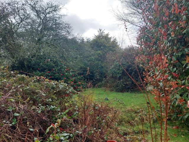 2 Trelawn Cottages, Mount, Bodmin, Cornwall PL30 4ES