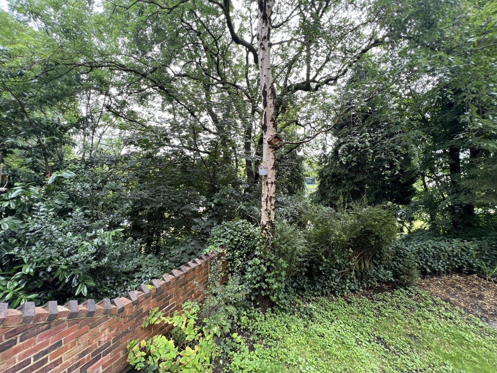 17 Harcourt Road, Sheffield, South Yorkshire, S10 1DH