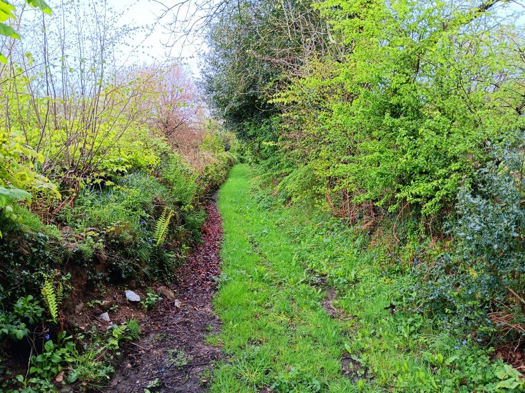 Land At Shells Knapp, Upottery, Honiton, Devon, EX14 9PF