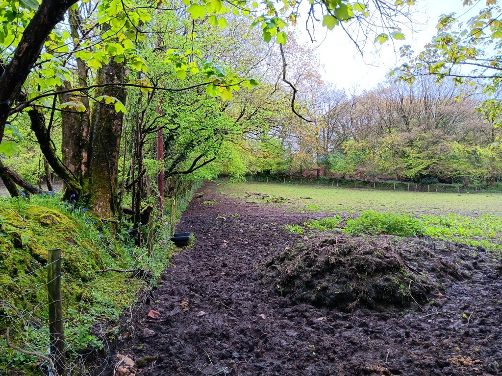 Land At Shells Knapp, Upottery, Honiton, Devon, EX14 9PF