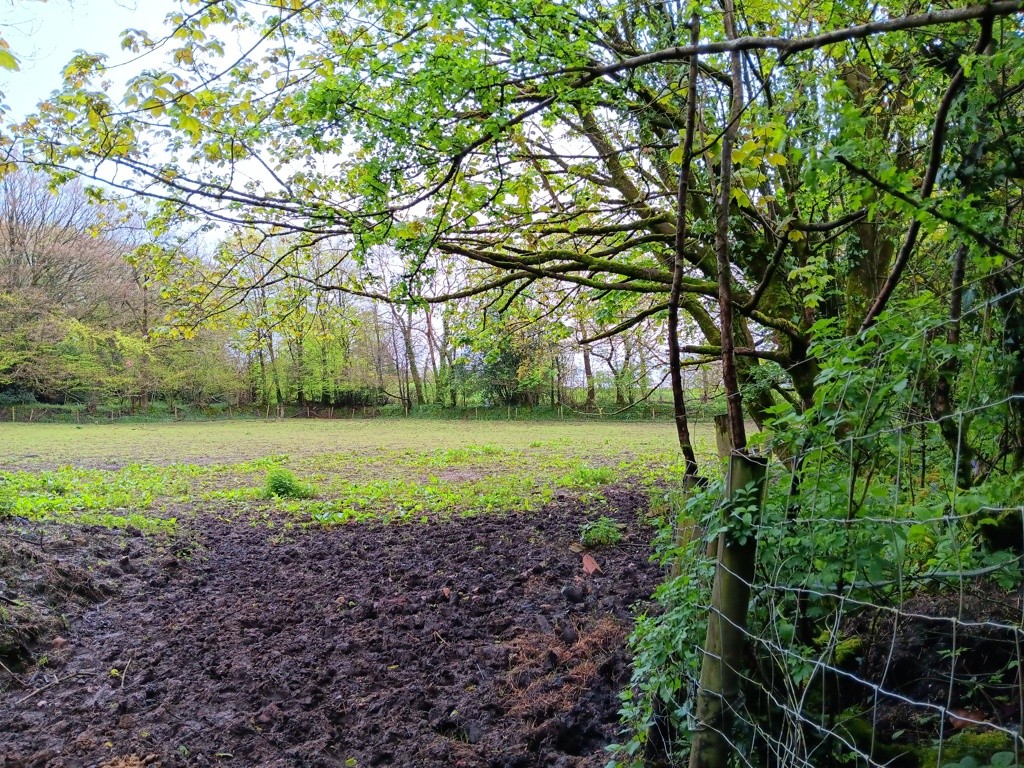 Land At Shells Knapp, Upottery, Honiton, Devon, EX14 9PF