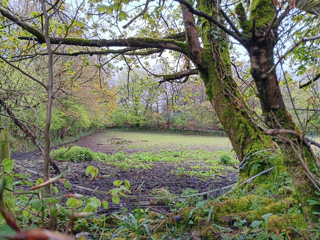 Land At Shells Knapp, Upottery, Honiton, Devon, EX14 9PF