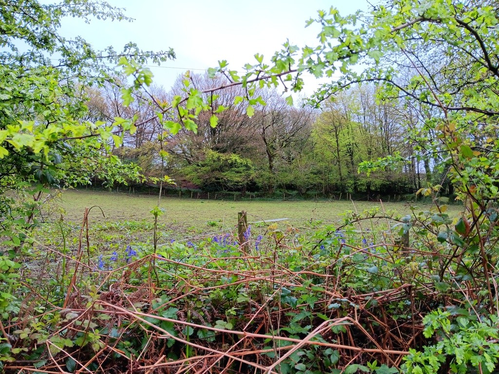 Land At Shells Knapp, Upottery, Honiton, Devon, EX14 9PF