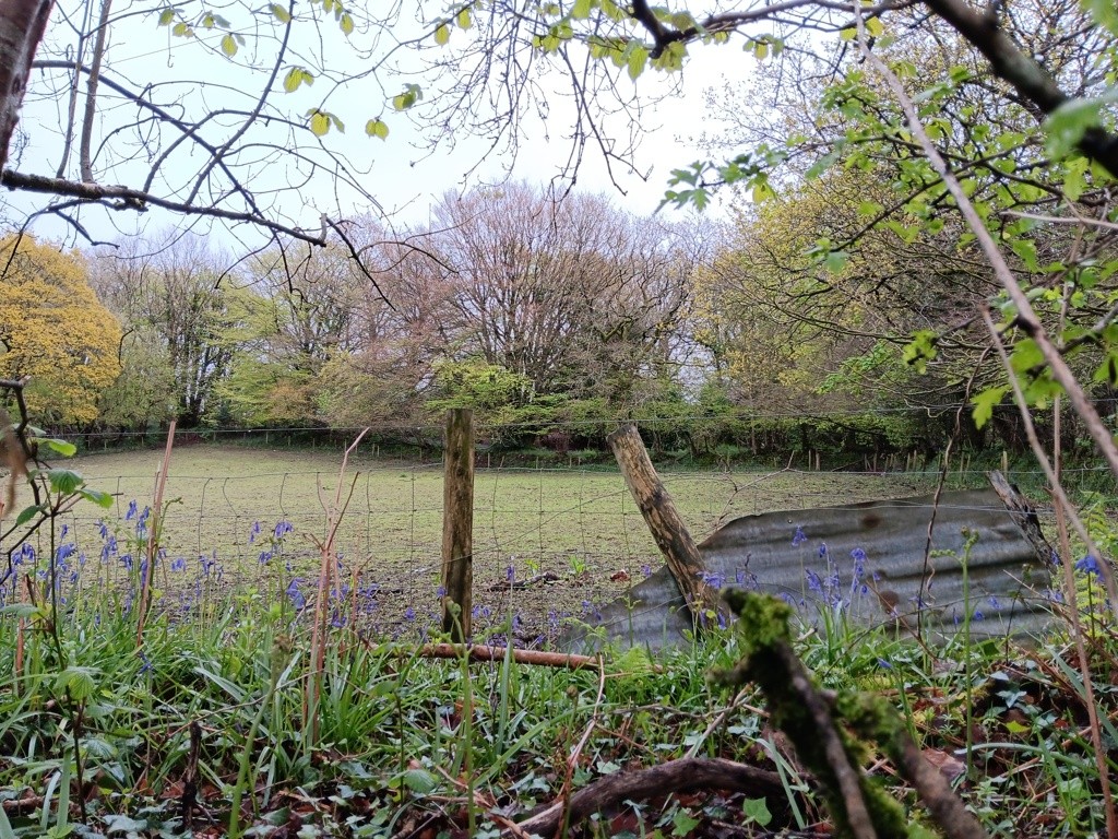 Land At Shells Knapp, Upottery, Honiton, Devon, EX14 9PF