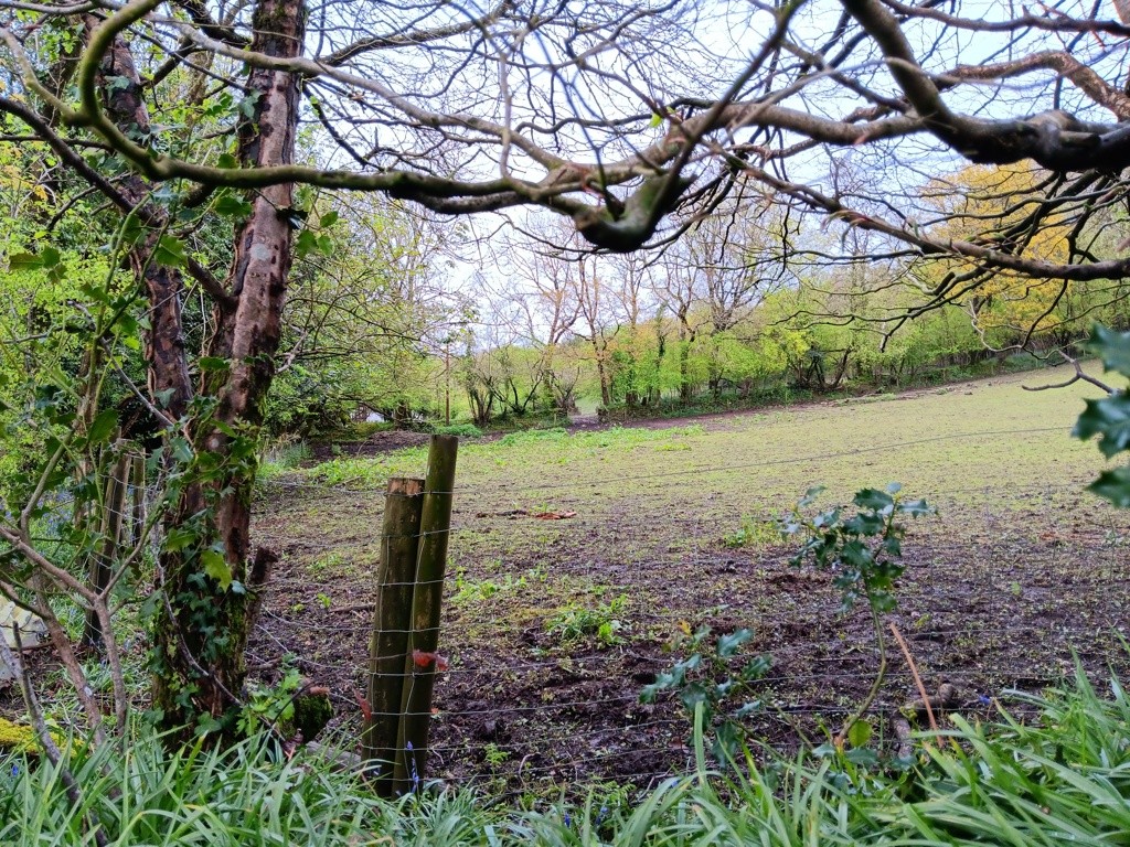 Land At Shells Knapp, Upottery, Honiton, Devon, EX14 9PF