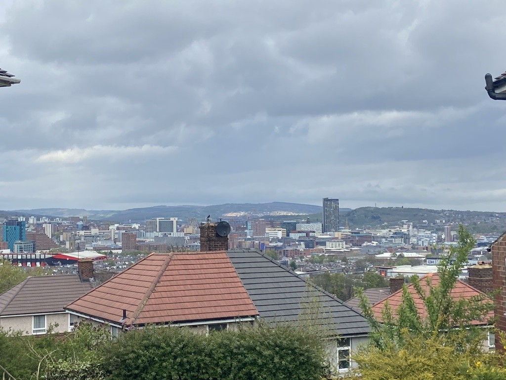 301 Myrtle Road, Sheffield, South Yorkshire, S2 3HP