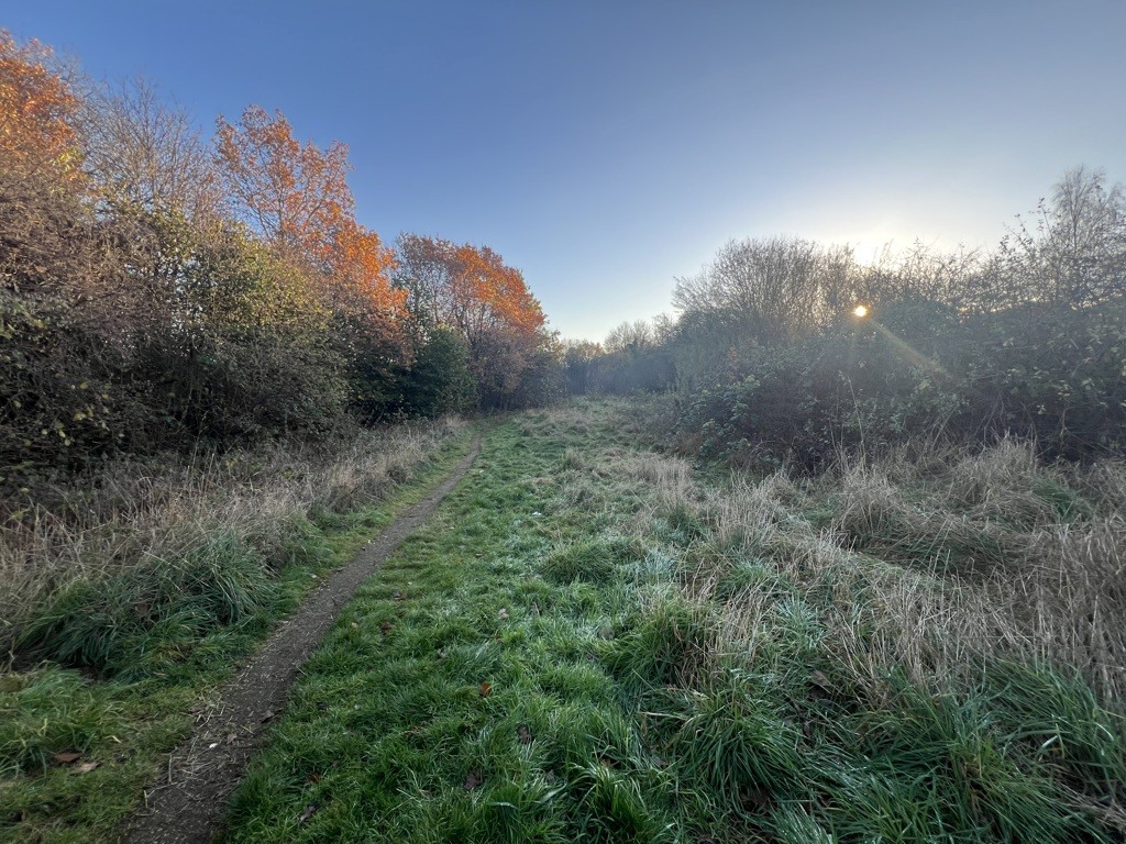Land off Station Road and James Walton Court, Halfway, Sheffield, S20 3GY