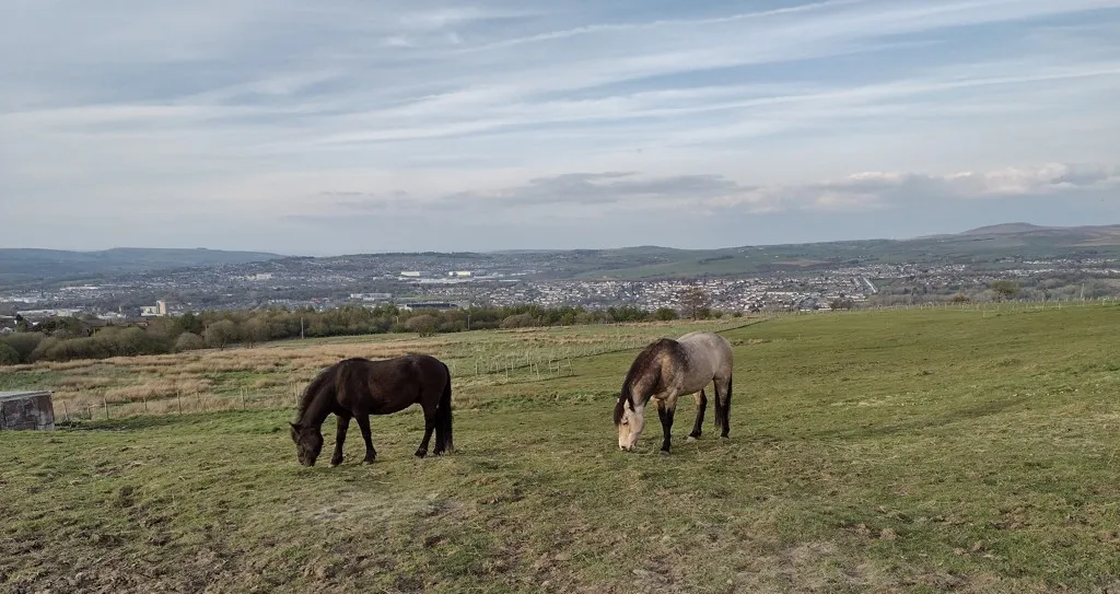 Land And Stables To The West Of Woodplumpton Road, Burnley, Lancashire, BB11 3RR