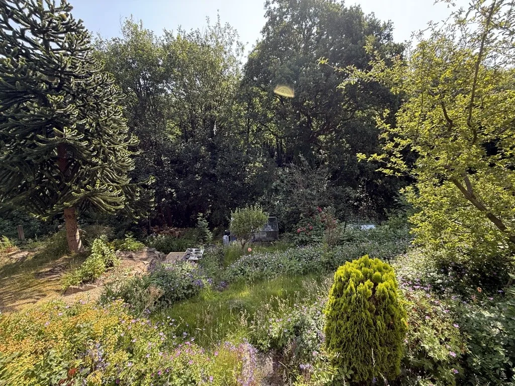 101 Lees Hall Road, Norton Lees, Sheffield, South Yorkshire, S8 9JL