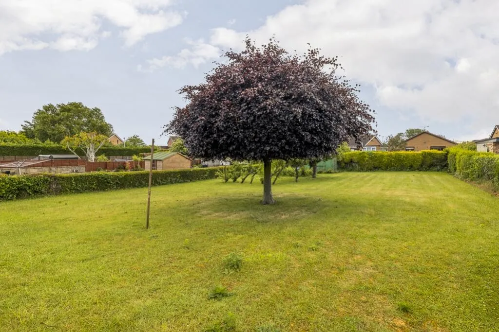 3 bed Detached Bungalow
