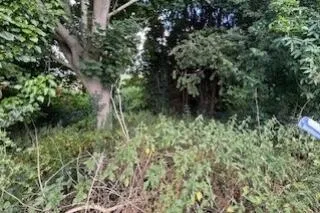 Development Land