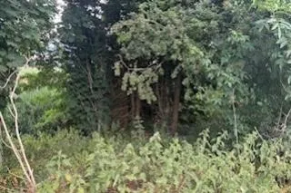 Development Land
