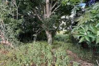 Development Land
