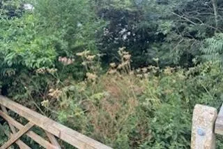 Development Land