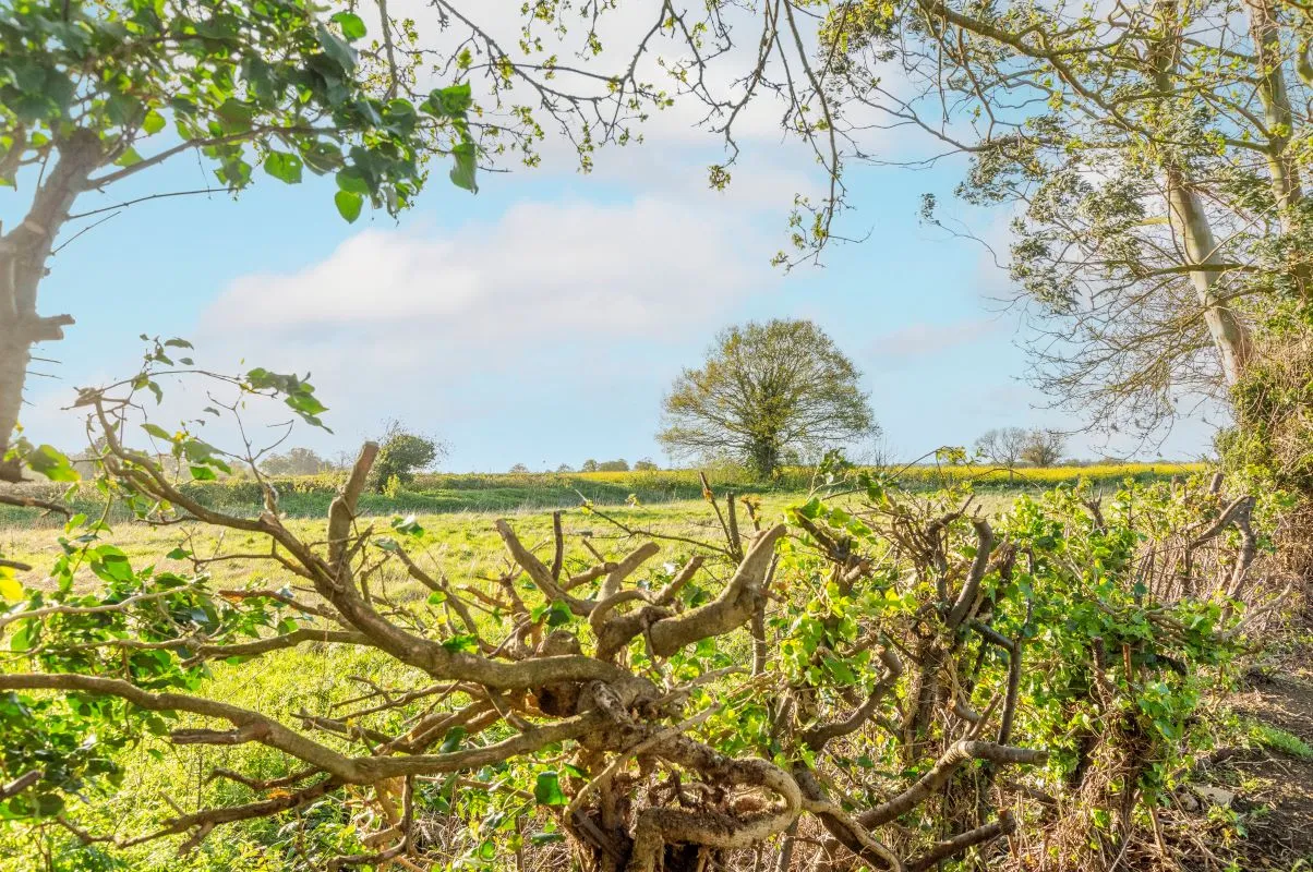 Burgess Way, Brooke, Norwich, Norfolk, NR15 1JY - Online Auctions
