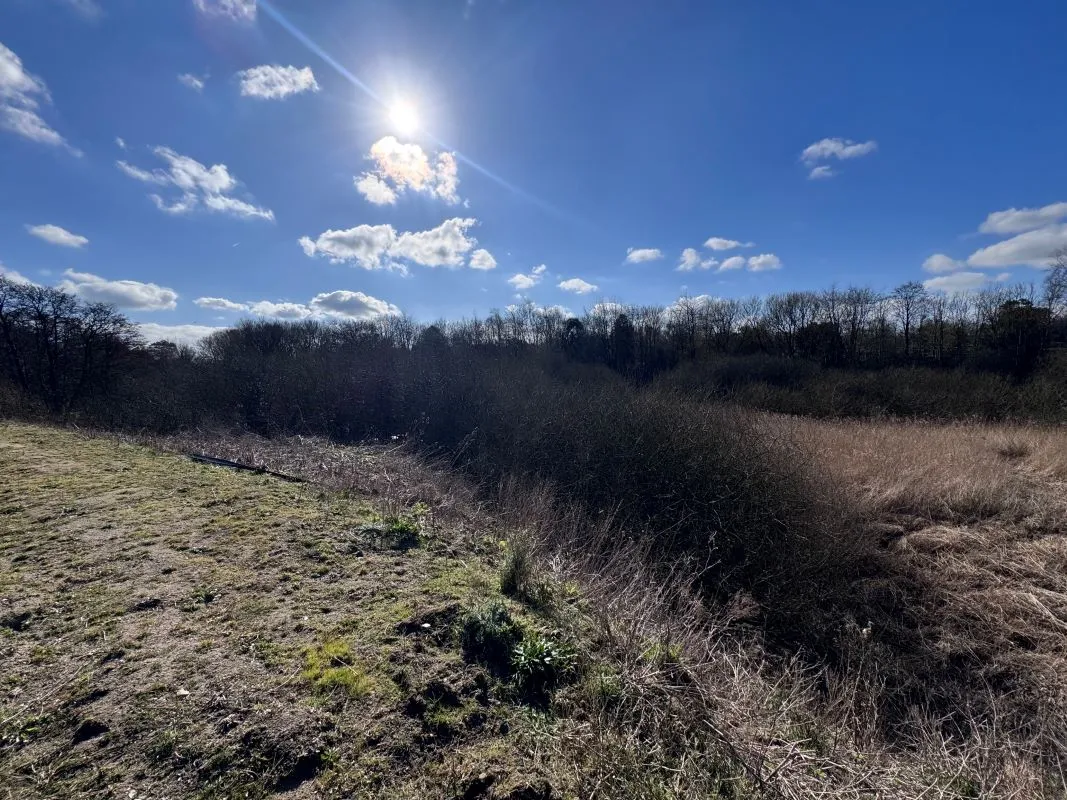 Acle Garden Machinery, Norwich Road, Acle, Norwich, Norfolk, NR13 3BY - Online Auctions