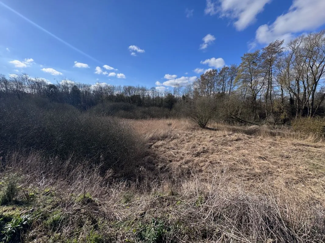 Acle Garden Machinery, Norwich Road, Acle, Norwich, Norfolk, NR13 3BY - Online Auctions