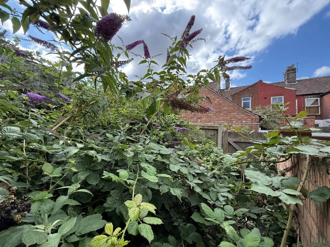 Churchill Road, Norwich, Norfolk, NR3 4PX - Online Auctions