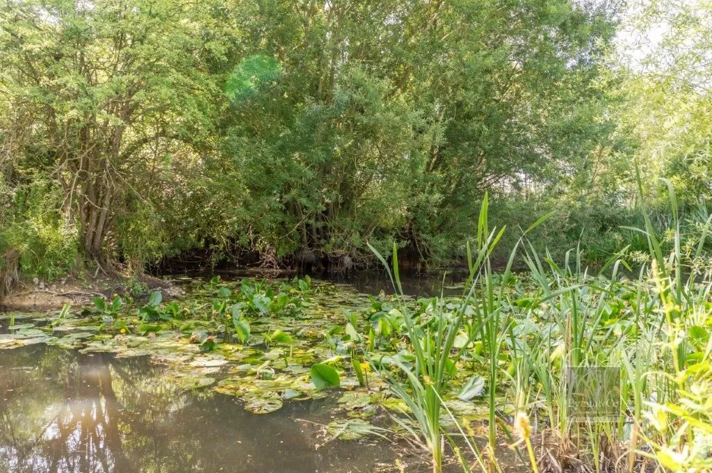 High Common Cottage, Wymondham Road, Wreningham, Norwich, Norfolk, NR16 1AY - Online Auctions