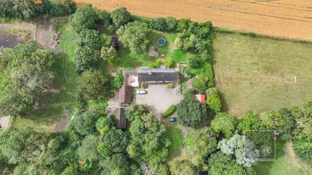 High Common Cottage, Wymondham Road, Wreningham, Norwich, Norfolk, NR16 1AY - Online Auctions