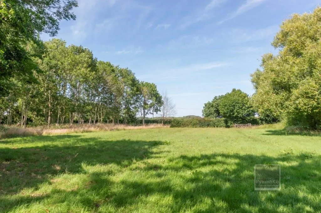 High Common Cottage, Wymondham Road, Wreningham, Norwich, Norfolk, NR16 1AY - Online Auctions