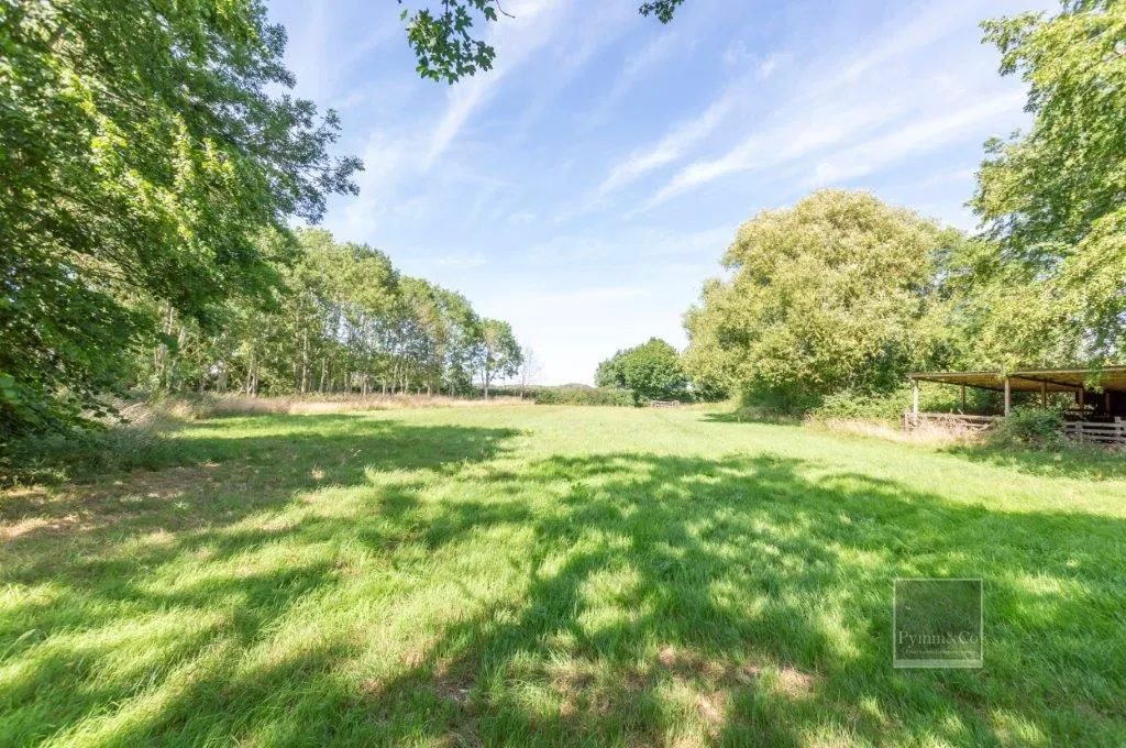 High Common Cottage, Wymondham Road, Wreningham, Norwich, Norfolk, NR16 1AY - Online Auctions
