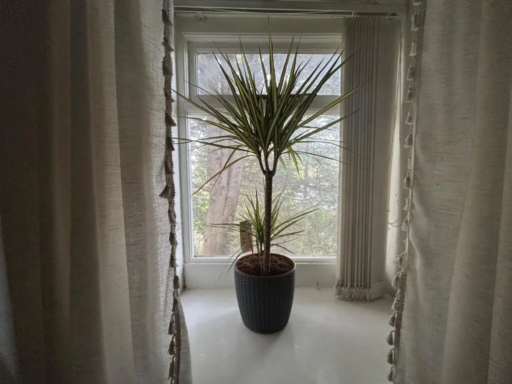 2 bed Terraced