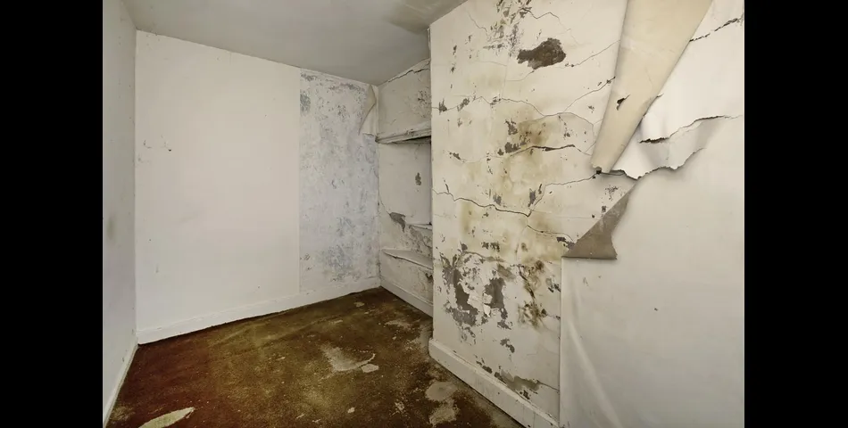 Rose Cottage, Moreleigh Road, Harbertonford, Totnes, Devon, TQ9 7TS