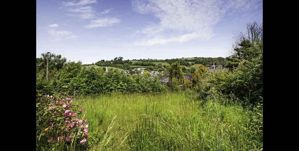 Rose Cottage, Moreleigh Road, Harbertonford, Totnes, Devon, TQ9 7TS